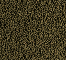 koi-spirulina-pellet-size-S-100_1480333402