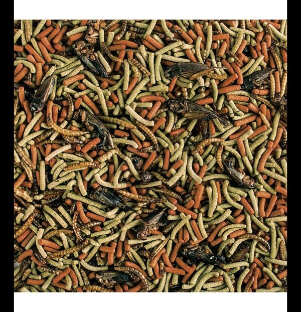 Reptiles Carnivoro 65g Tropical