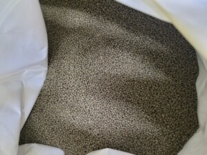 Koi Spirulina pellet 100g a granel