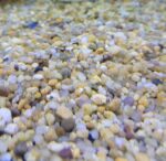 Gravilla amarilla 2kg