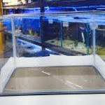 Acuario Nacional - Pecera de vidrio para acuarios (30x20x15)