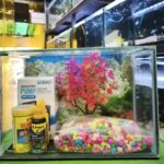 Kit Acuario 9 litros para agua fria