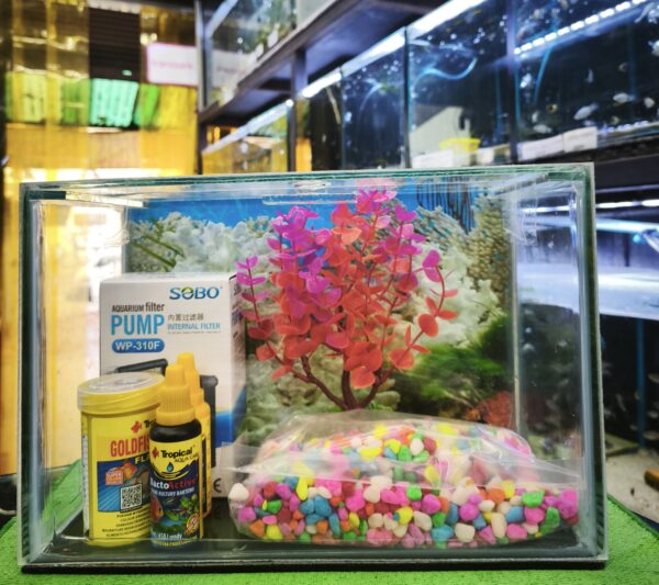 Kit Acuario 9 litros para agua fria - Imagen 1