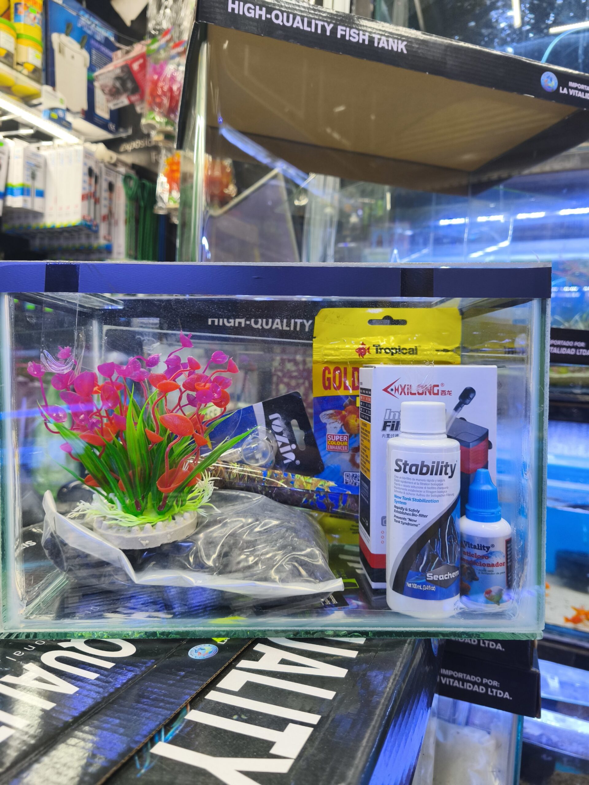 2024/08/1000295818-scaled.jpg Kit Acuario 9 litros para agua fria - Imagen 1