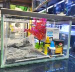 Kit Inicial Acuario 9 litros para agua fria