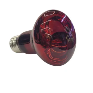 ampolleta infrarroja 25w