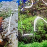 Lámina Fondo Acuario doble 30x100cm