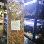 Alimento 47% proteína 1 kg Tropical