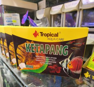 Tropical Ketapang (Sachet de 6 Unidades De 5 Gr)