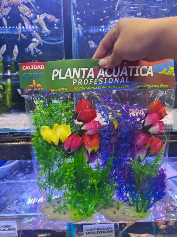 set plantas 21x12cm 2unidades