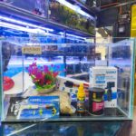 Kit Inicial 20 Litros