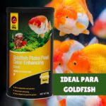 Comida para Goldfish