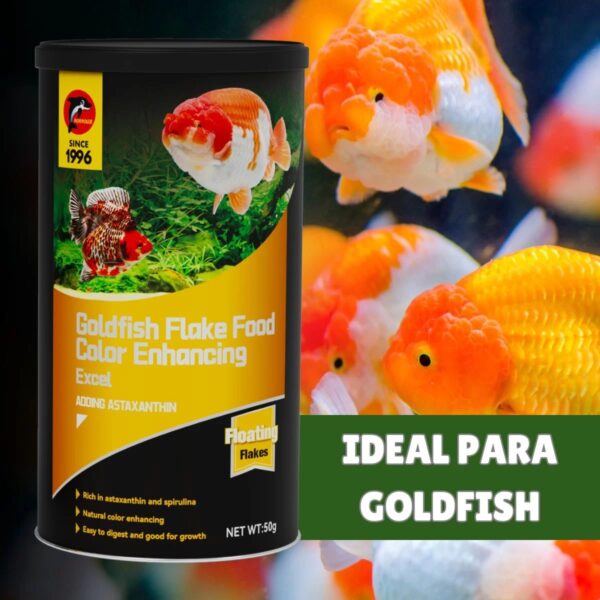 Comida para Goldfish