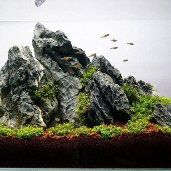 Roca Black Seiryu
