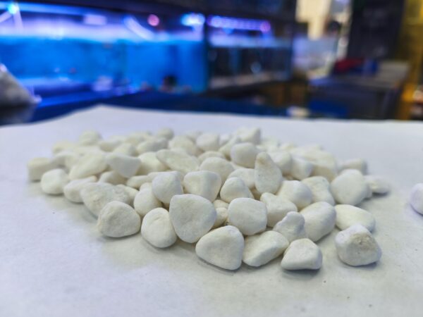 Gravilla Blanca 8-10mm 1 Kg