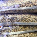 Gravilla Amarilla - Sustrato Acuario 2.5 Kg