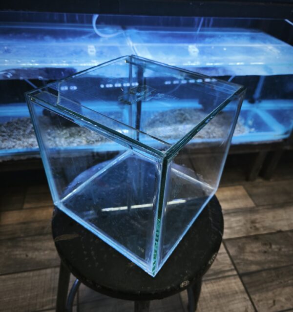 Acuario Cubo 20x20x20 - Imagen 1