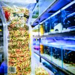 Alimento para peces Pellet Koi 150g Tropical