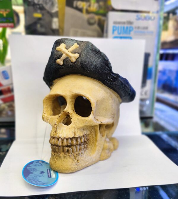 Craneo Skull pirata - Imagen 1