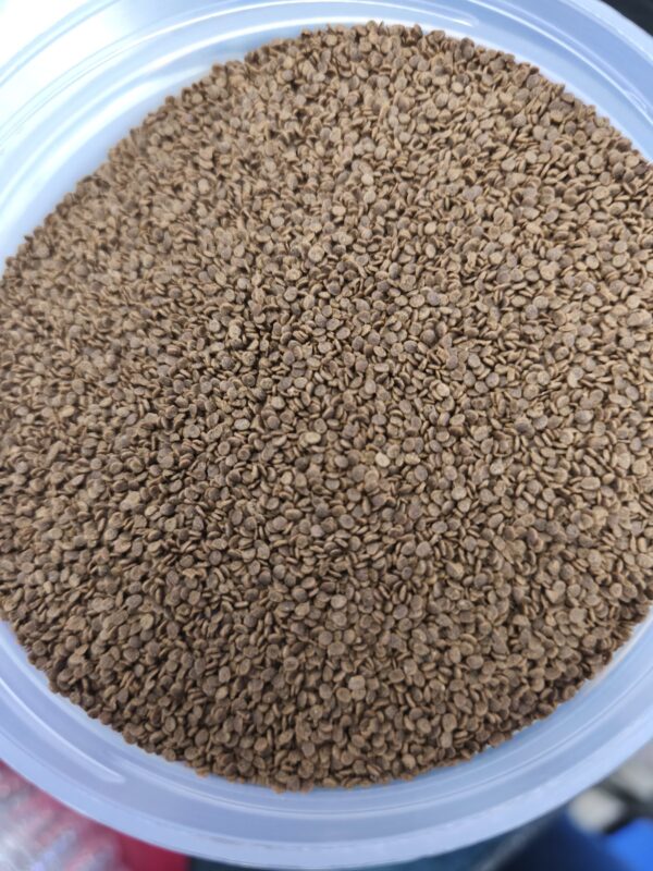 D-allio 100g  con 30% ajo Tropical - Imagen 3