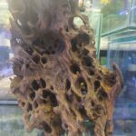 Tronco shrimp 10g para acuario