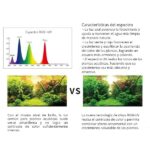 Mini 9 pro Week Aqua - Imagen 2