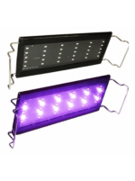 Led Ql30b luz led blanca/azul - Imagen 4