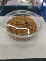 Tenebrio 35g - Imagen 2