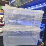 Caja transporte reptil o aves 37 X 23 X 16CM