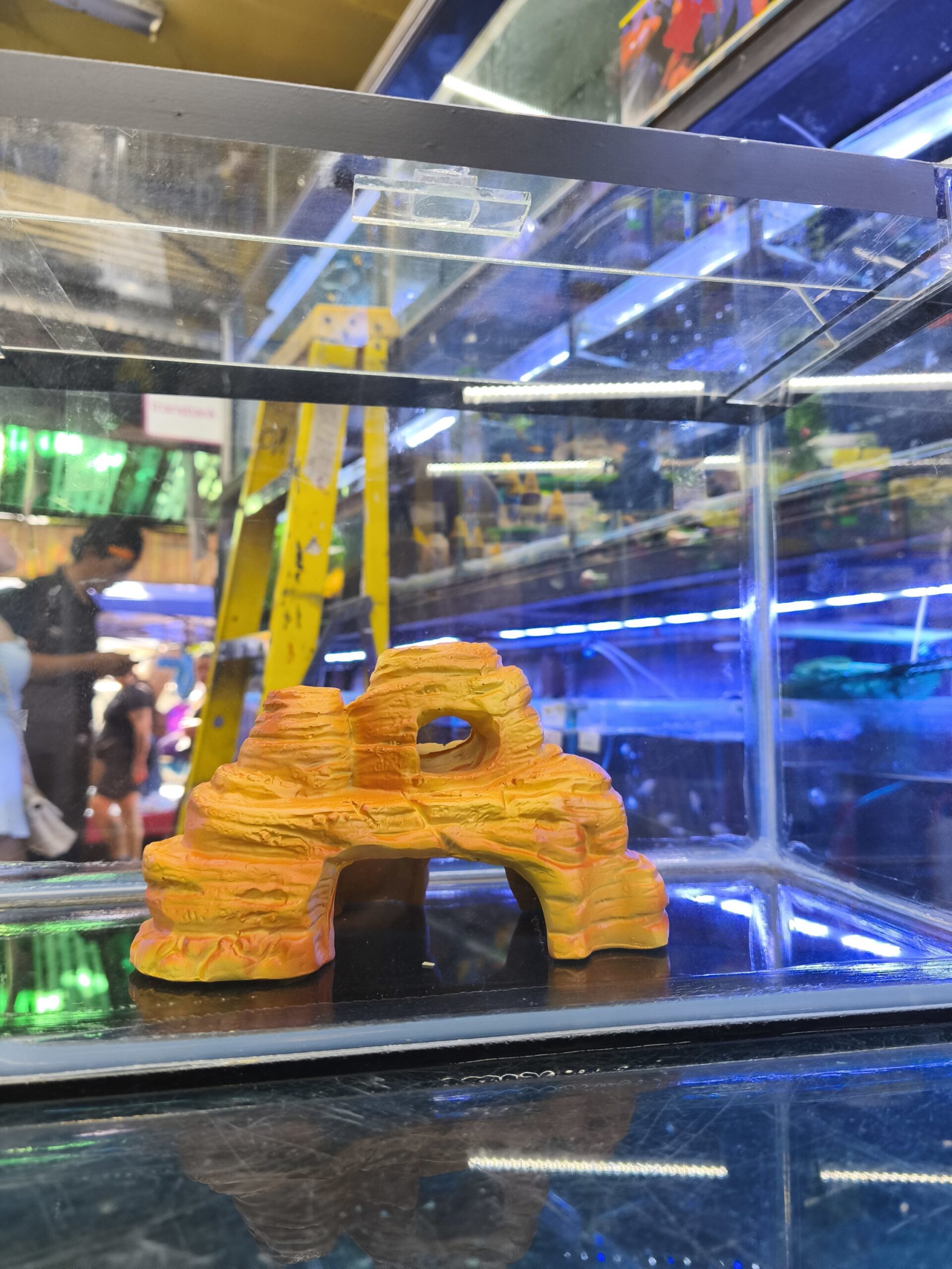 2026/01/1000321086-scaled.jpg NS-152 Cueva refugio peces o reptiles - Imagen 1