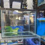 Acuario Nacional - 40x30x25cm 30 Litros