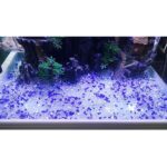 Dophin Gravilla Crystal Sand 400 G - Imagen 2