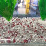 Dophin Gravilla Crystal Sand Rojo 400 G