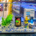 Kit Inicial 9 Litros para peces de Agua Fría