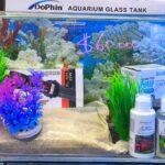 Kit Inicial 20 Litros Aquaforest