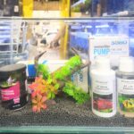 Kit Inicial 9 Litros para peces Tropicales
