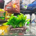 Planta Artificial Con Tronco 15 X 8CM