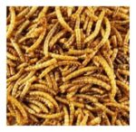 Tenebrios Deshidratados Snack Para Aves, Tortugas, Erizos 1 Kg